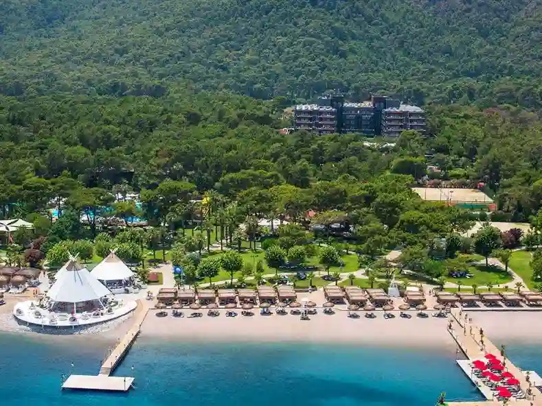 Палома Фореста