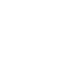 p-data