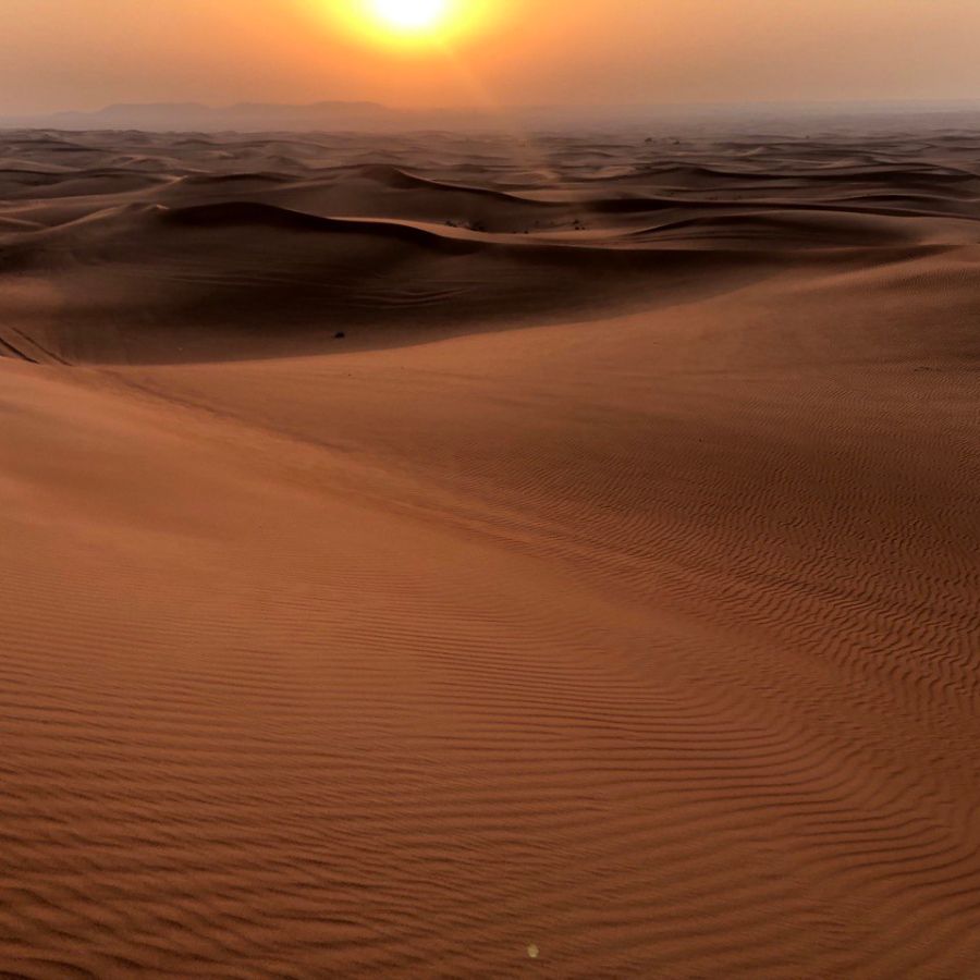 MICE - поездка в пустыню