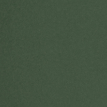 Зеленый (иск. Замша)