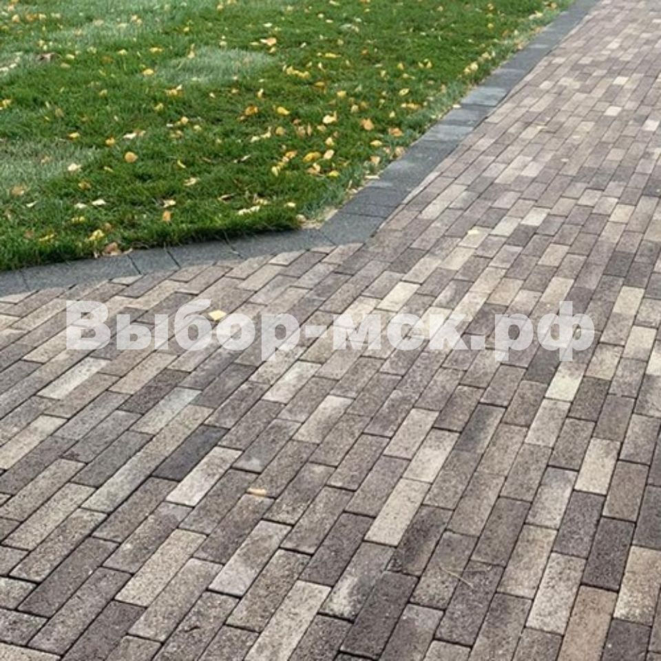 Тротуарная плитка Паркет 60 мм Хаски