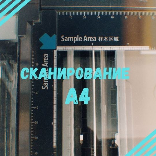 сканирование а4 цена