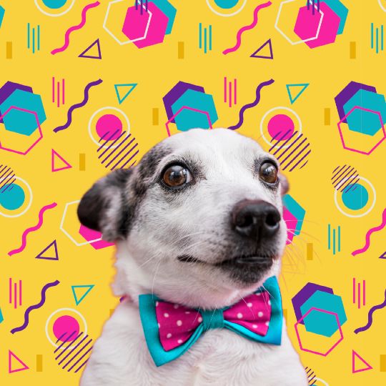 цветная печать А3