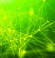 Сетевое общество