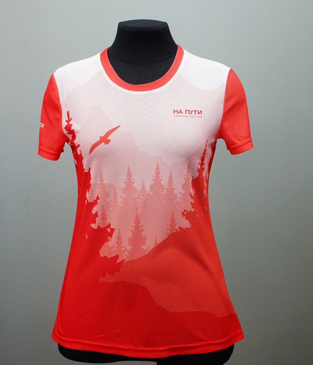 Футболка мерч от WITERRA вариант 2