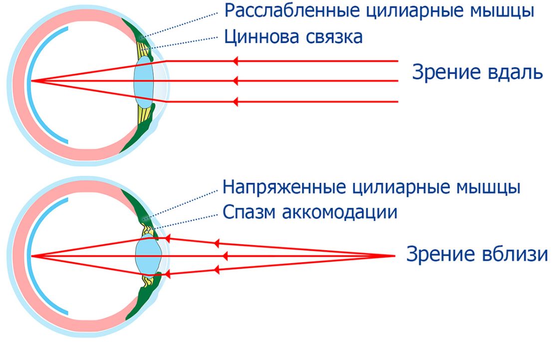 Аккомодация глаза рисунок