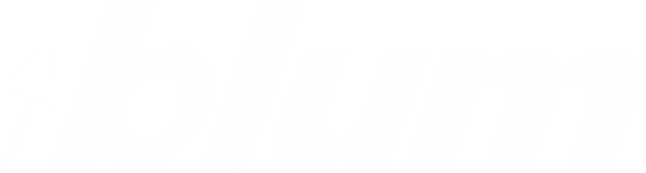 используемая фурнитура blum