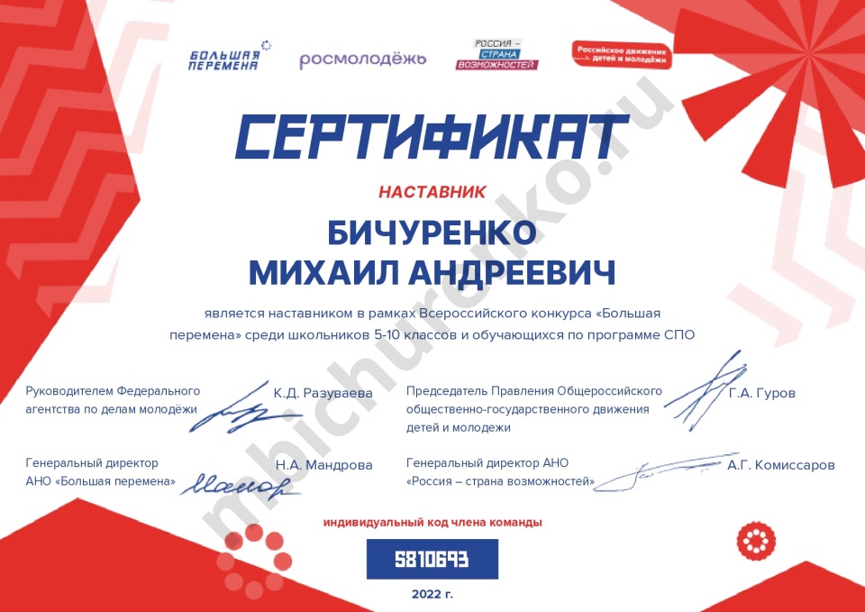 Сертификат наставника в рамках Всероссийского конкурса «Большая перемена» среди школьников 5-10 классов и обучающихся по программе СПО (2022, Большая перемена)