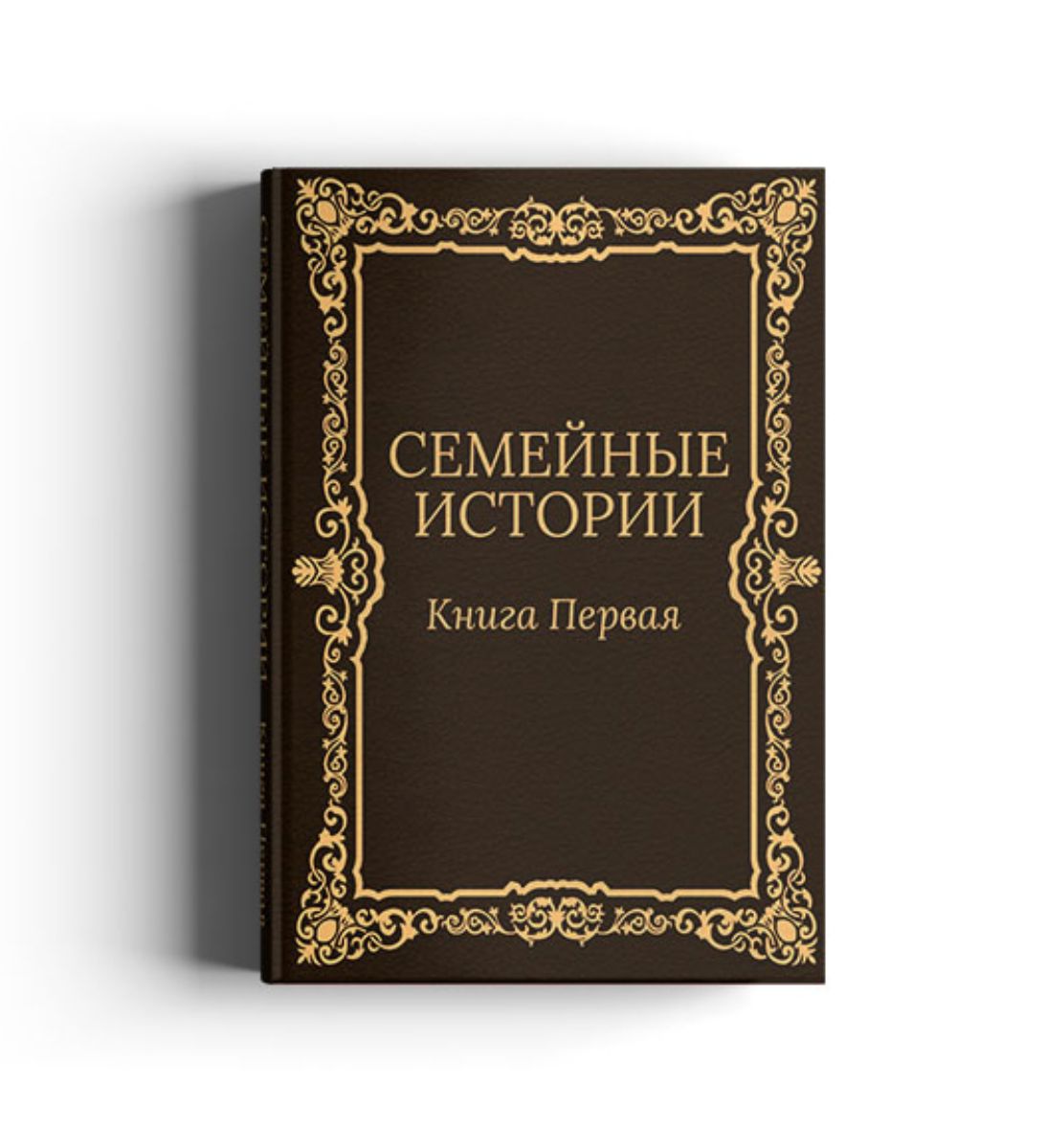 Большая семейная книга. Книга история семьи. Родословная книга об истории семьи. Книжные семейные истории. Семейные мемуары книги.