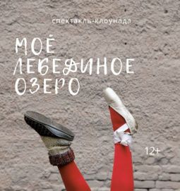 Моё Лебединое озеро