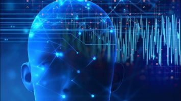 Онлайн школа ВиталисЛаб