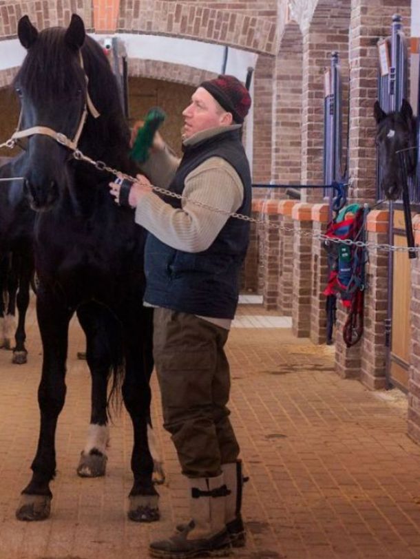 Жучок 236 орл. жер. вор. (11132 Клиент - 1442 Жизнь) рожд. в Чесменском к/з