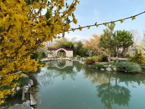 Entrance To The Exotic Garden