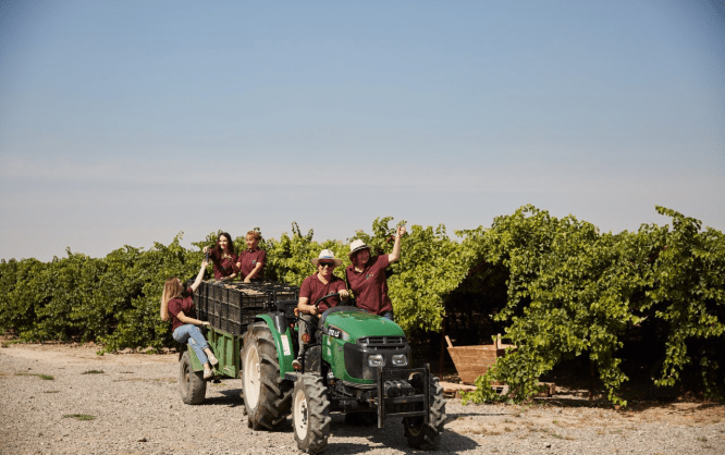 Фотогалерея