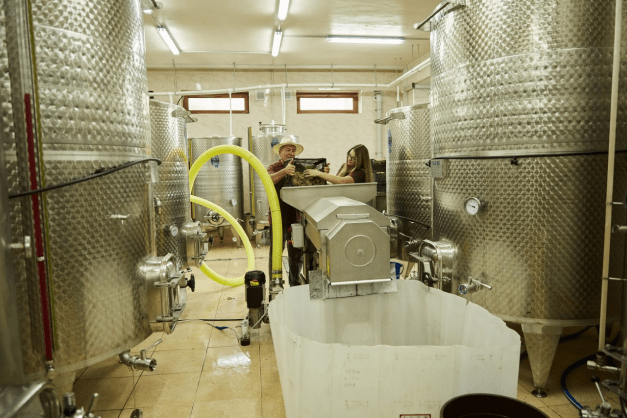 Фотогалерея