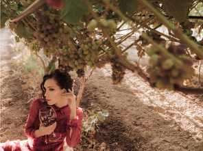 Фотогалерея