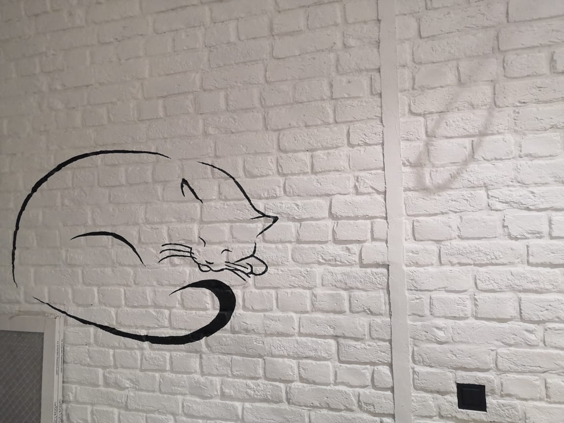 Граффити "Спящая кошка" на белом кирпиче