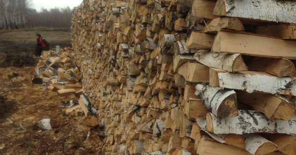 Колотые, сухие, берёзовые, сосновые, осиновые, дрова, недорого, дешево, в Челябинске, Челябинской области, поленница