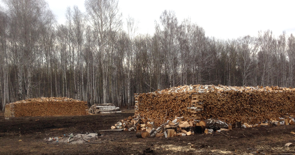 Колотые, сухие, берёзовые, сосновые, осиновые, дрова, недорого, дешево, в Челябинске, Челябинской области Делянки