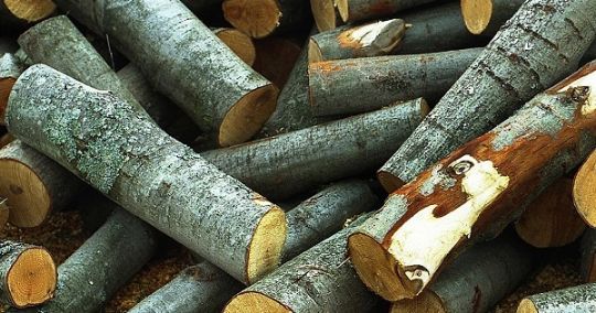 Зил осиновых неколотых дров, недорого, в Челябинске, Челябинской области