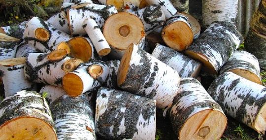 Паллетированный ЗИЛ берёзовых не колотых дров с доставкой по Челябинску и пригороду