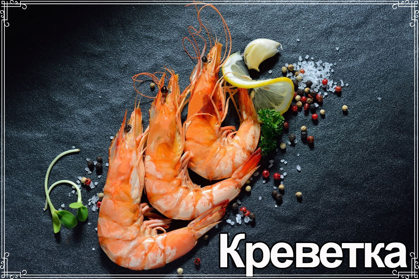 Креветка