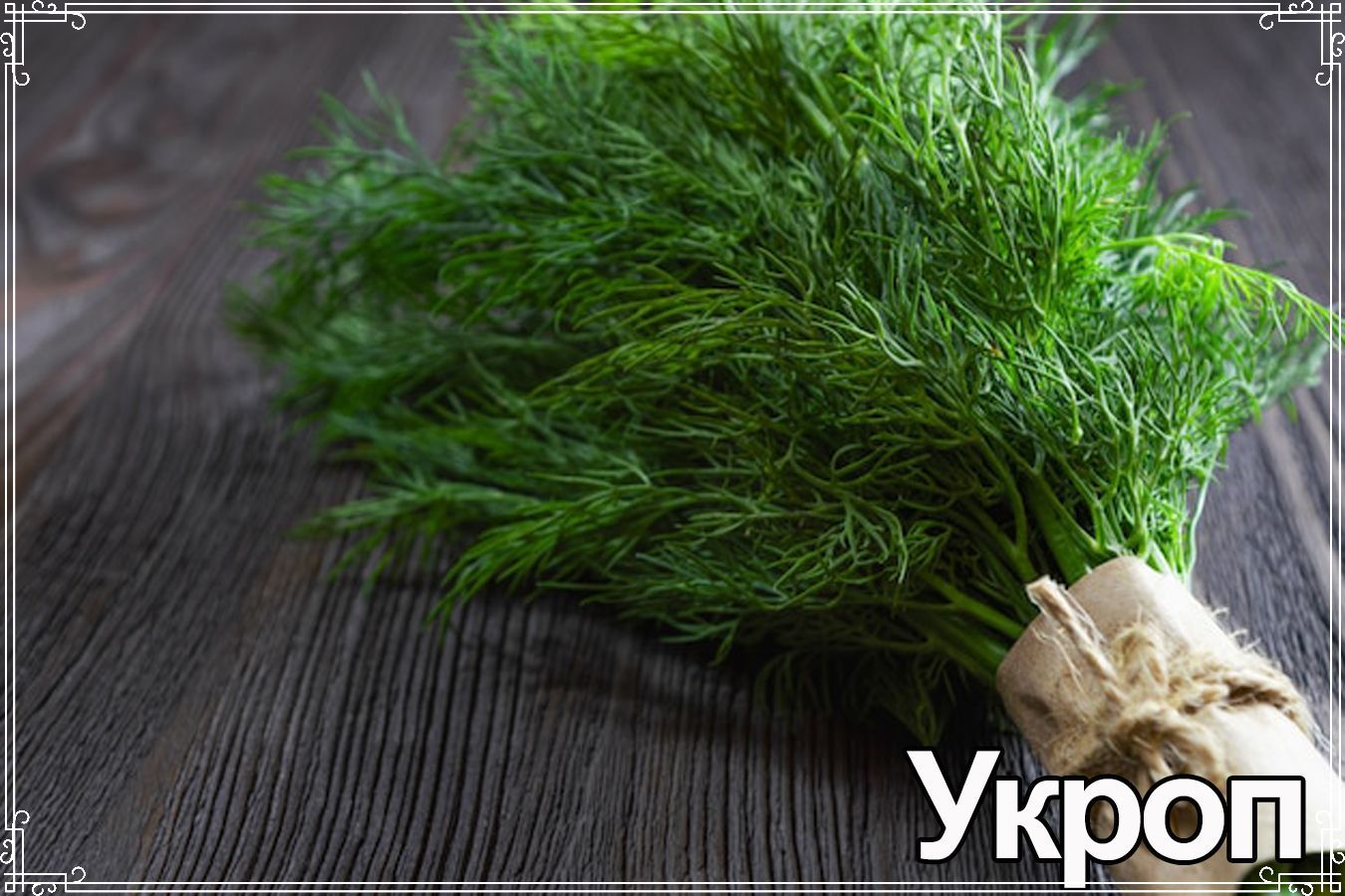 Укроп
