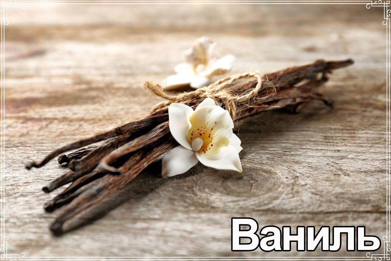 Ваниль