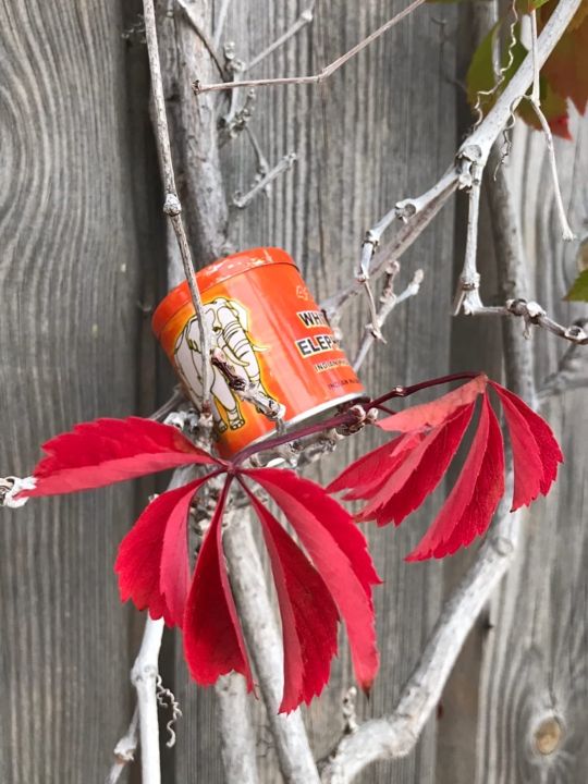 купить нюхательный табак белый слон,снафф белый слоник купить,табаки нюхательные,куплю нюхательный табак,нюхательный табак белый слон,что такое белый слон снафф,снафф белый слон что это,снафф что это табак,белый слон снафф купить,белый слон купить снафф,снафф 41 белый слон