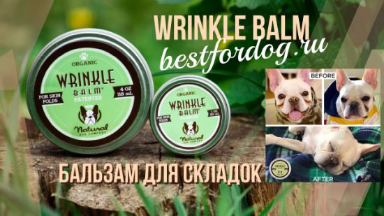 Название изображения