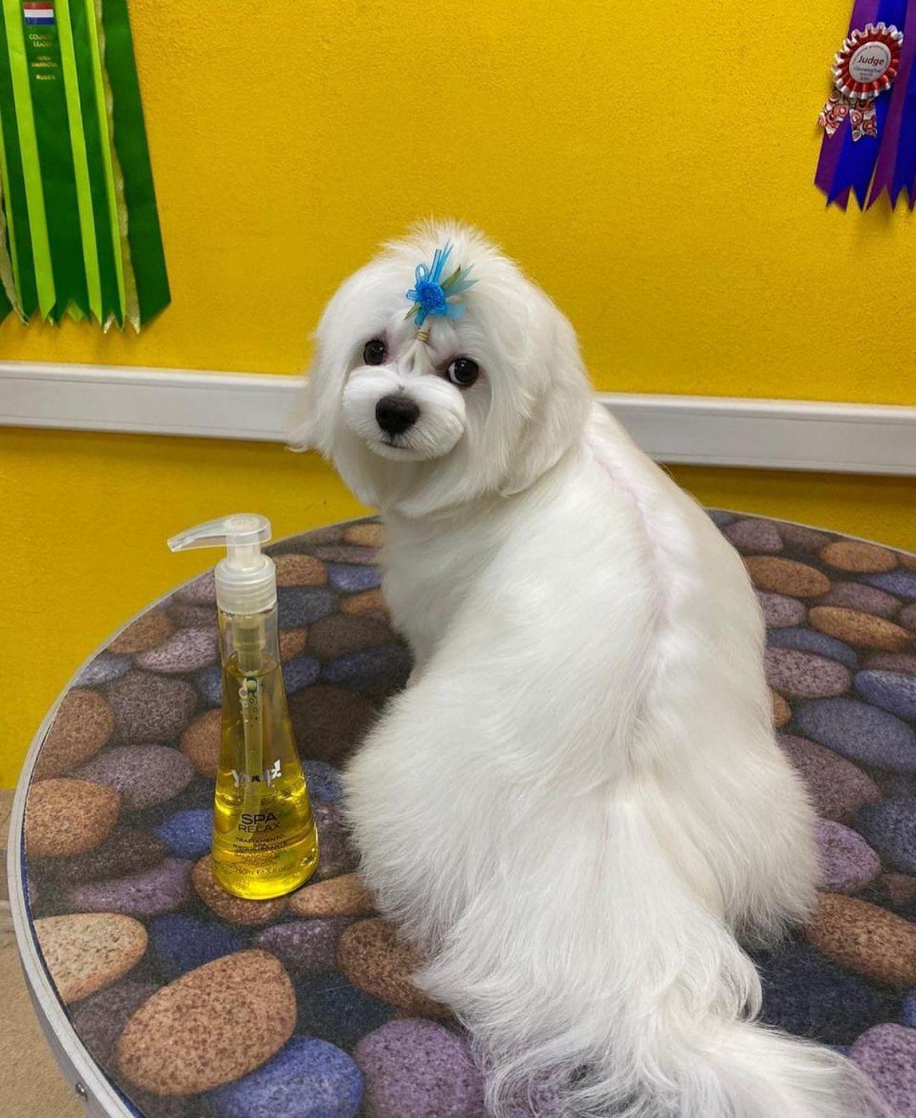 Название изображения