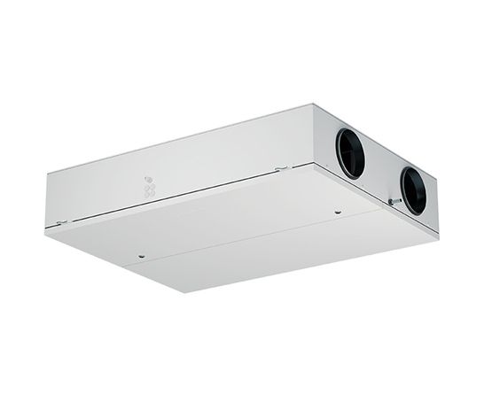 Domekt CF F