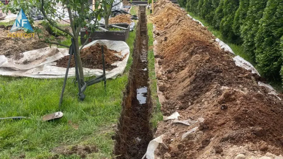 Благоустройство земельного участка в КП Дружное