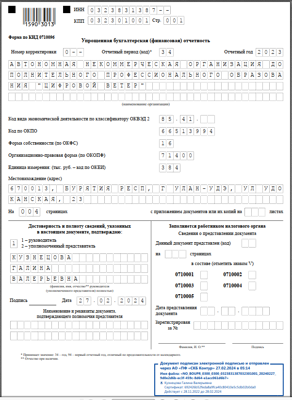 бухгалтерский баланс 2023 Цифровой ветер