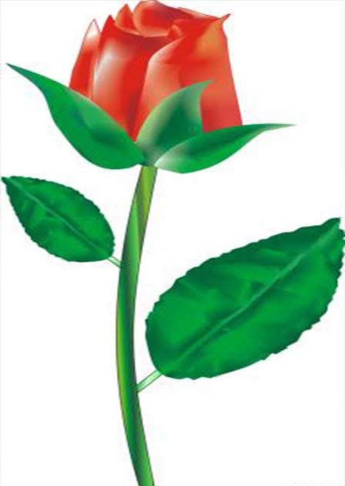 Работы слушателей