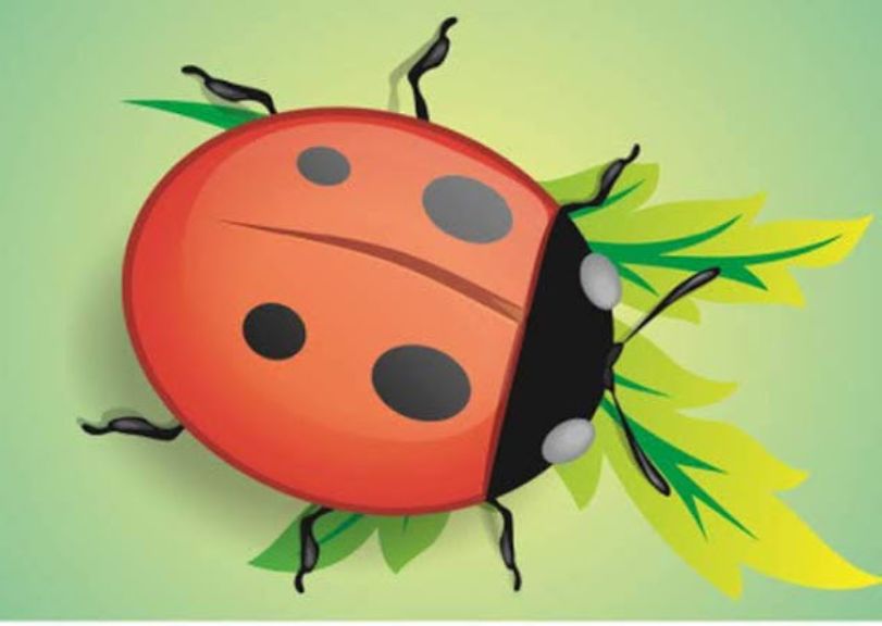 курсы ИЛЛЮСТРАТОР