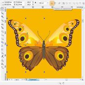 курсы компьютерной графики