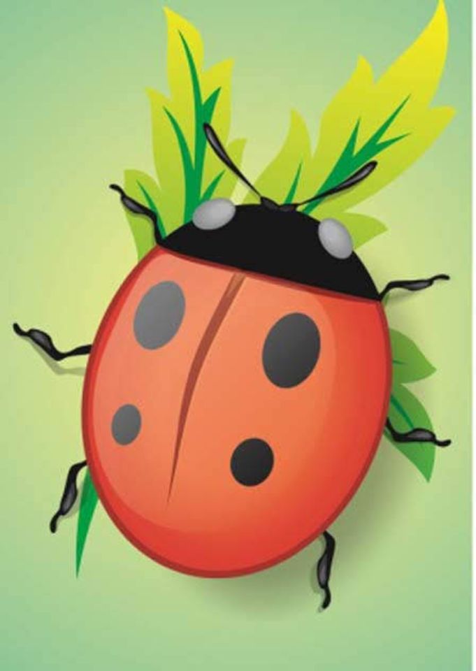 Работы Фоминой Марины , 11 лет