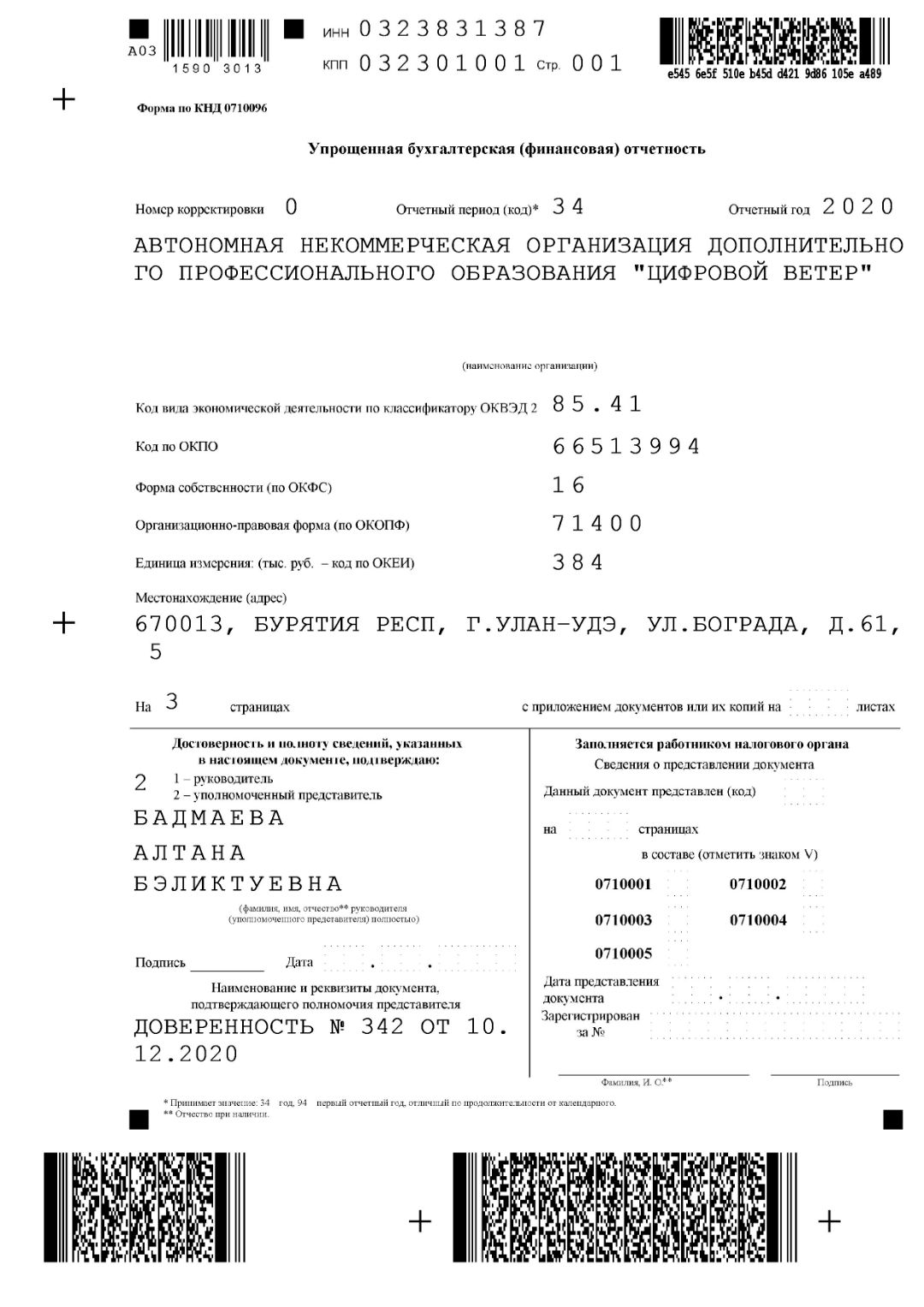 годовой отчет 2020-1