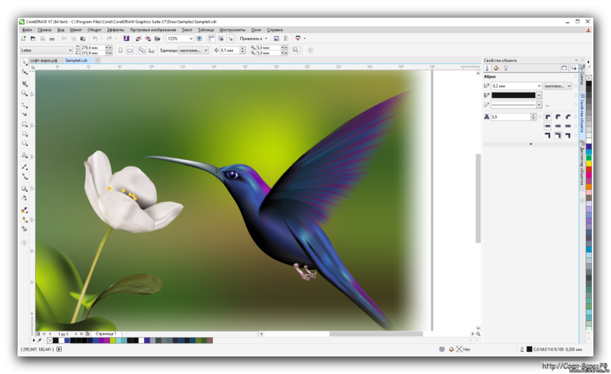 Coreldraw это растровый или векторный