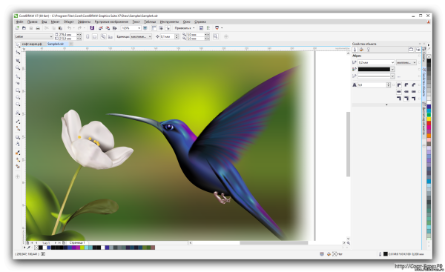 Векторная графика coreldraw это
