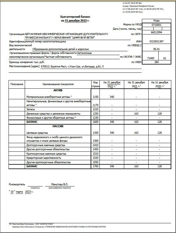 годовой отчет 2022-1