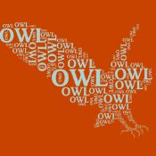 курс иллюстратор