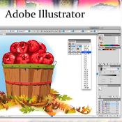 курс иллюстратор