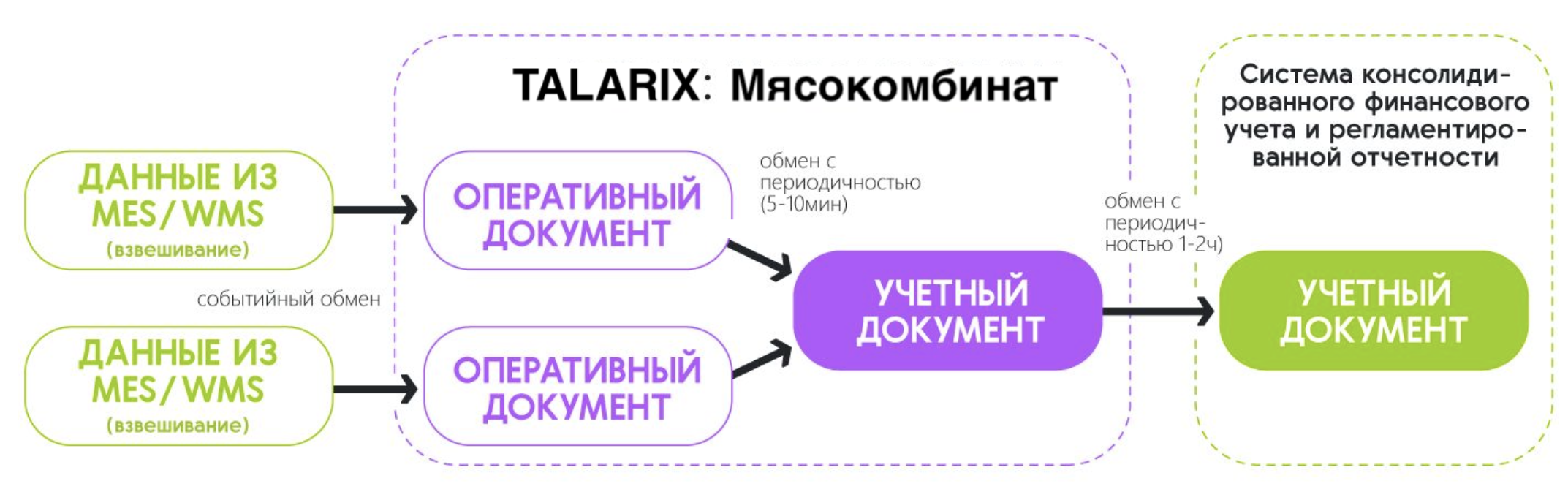 TALARIX: Мясокомбинат 5 Организация обмена данными