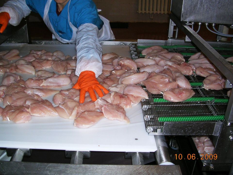 ПОДМОРОЗКА ЧАСТЕЙ ПТИЦЫ