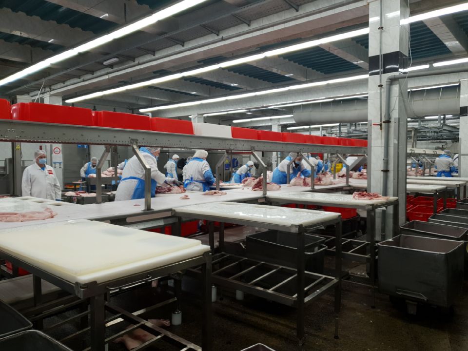 РАБОЧИЕ СТОЛЫ 