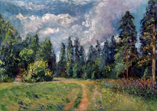 Лялин луг, поселок Сиверский.