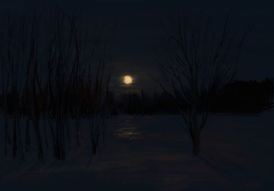 Лунная дорожка