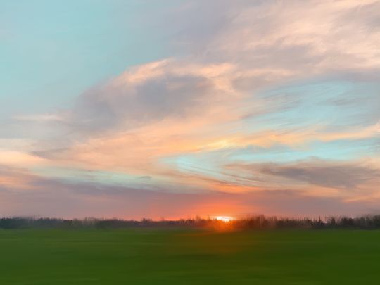 Вечер в поле